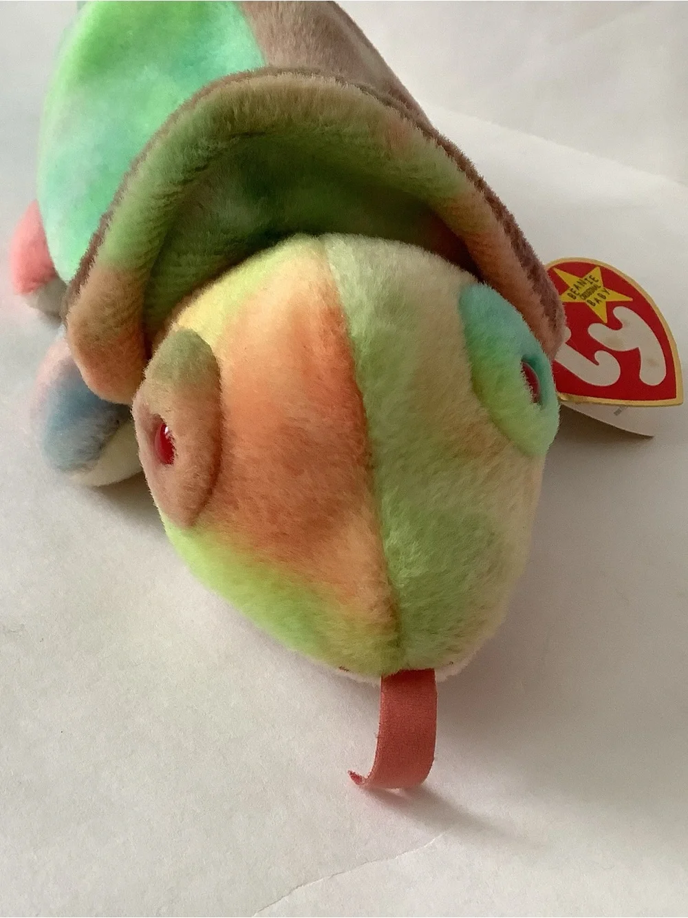 Ty beanie baby rainbow, Iggy, the Laguana chameleon lizard.